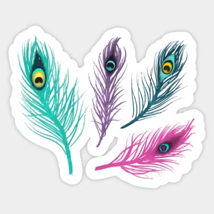 Peacock Feather Sticker